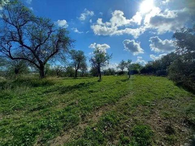 Terreno in vendita a Noto SR