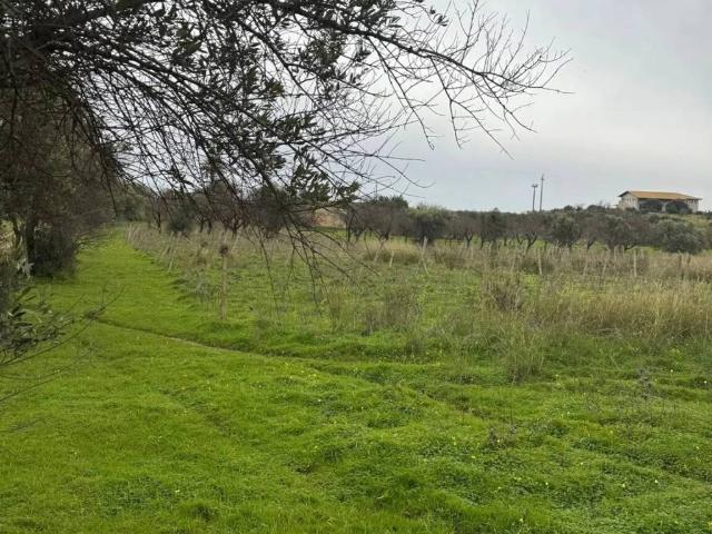 Terreno in vendita a Noto SR