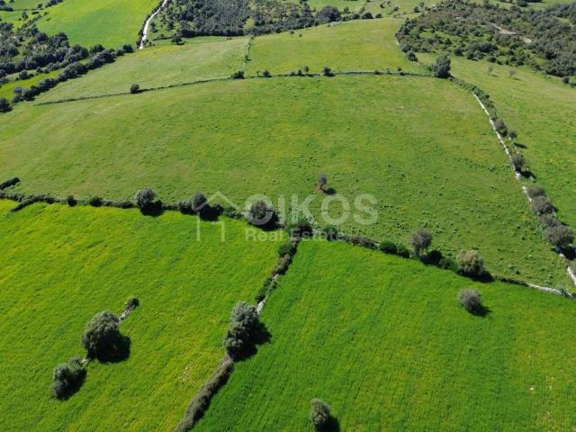 Terreno in vendita a Noto SR