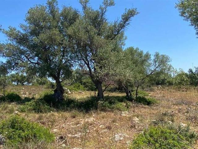Terreno in vendita a Noto SR