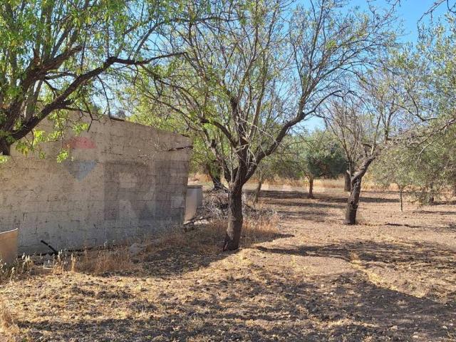 Terreno in vendita a Noto SR