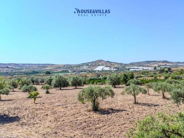 Terreno in vendita a Noto SR