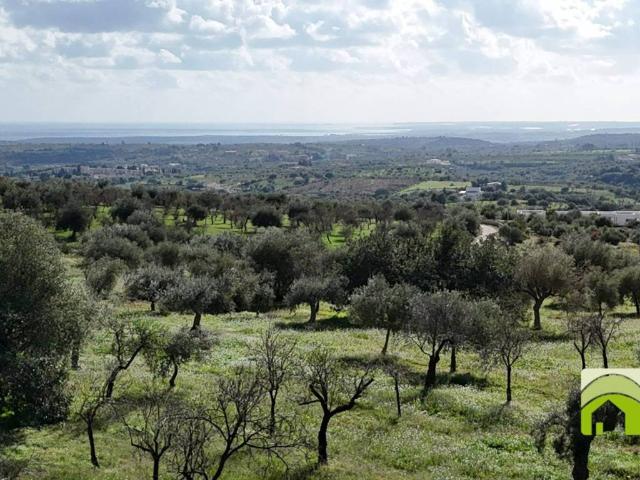 Terreno in vendita a Noto SR