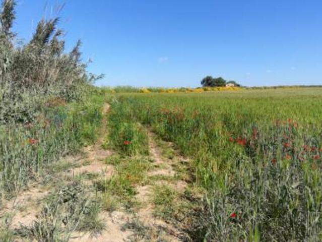 Terreno in vendita a Noto