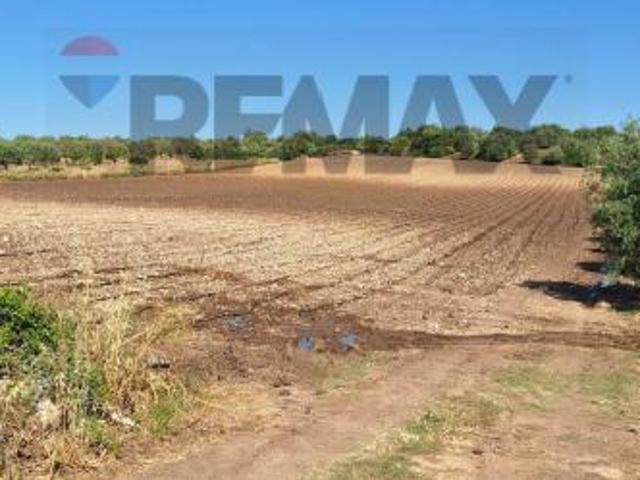 Terreno in vendita a Noto