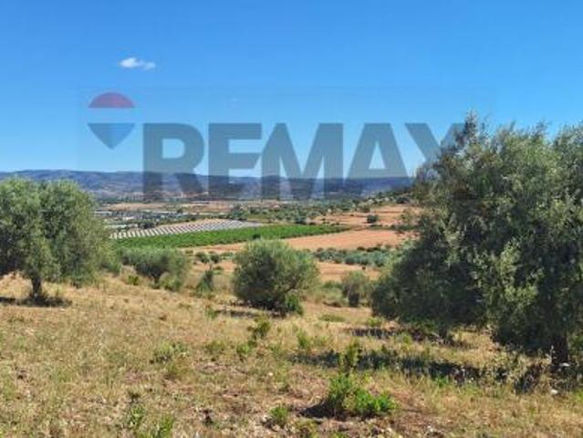 Terreno in vendita a Noto