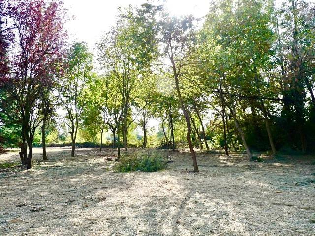 Terreno in vendita a Novara NO