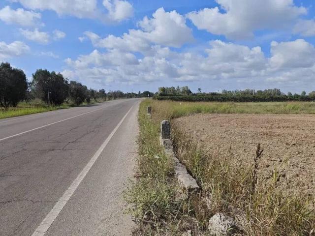 Terreno in vendita a Novoli LE