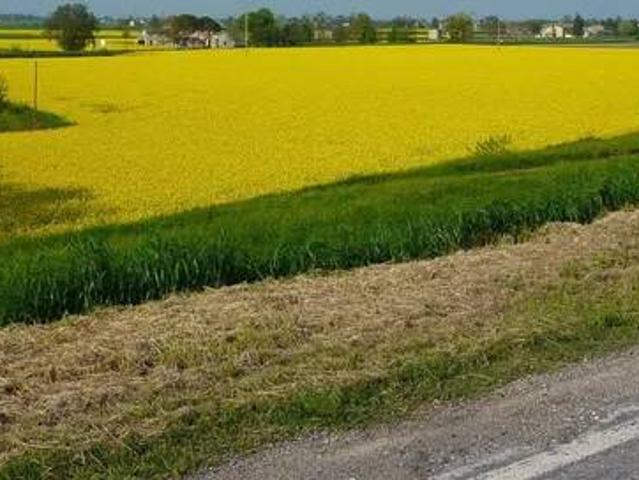 Terreno in vendita a Occhiobello RO