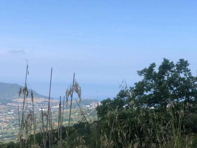Terreno in vendita a Ogliastro Cilento SA