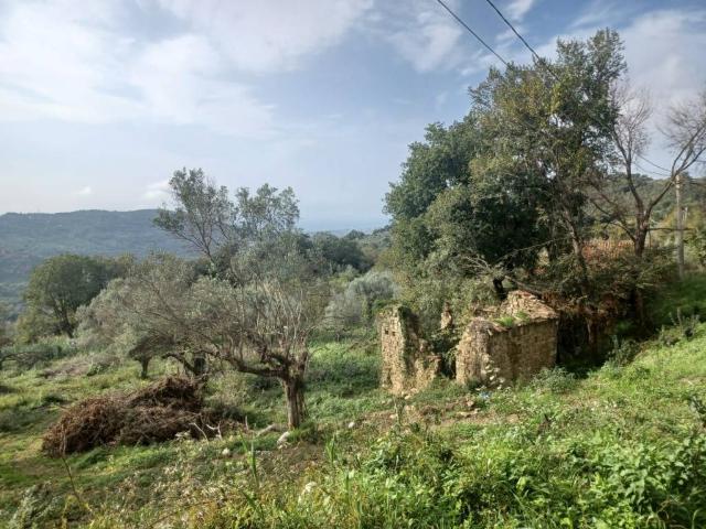 Terreno in vendita a Ogliastro Cilento SA