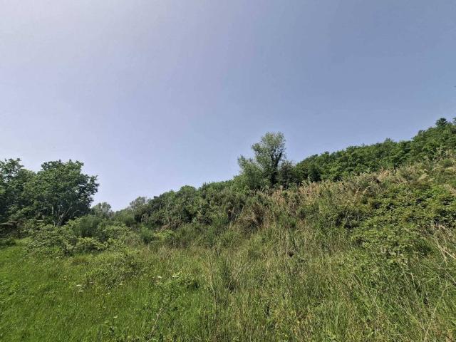 Terreno in vendita a Ogliastro Cilento SA