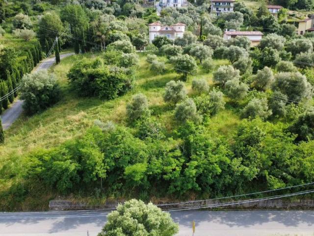 Terreno in vendita a Ogliastro Cilento SA