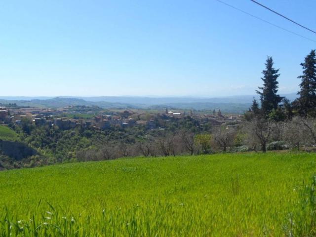 Terreno in vendita a Offida AP