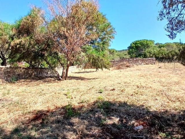 Terreno in vendita a Olbia OT