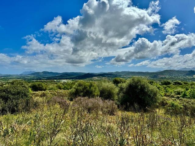 Terreno in vendita a Olbia SS