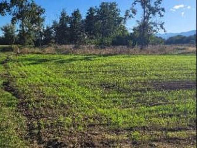 Terreno in vendita a Oleggio NO