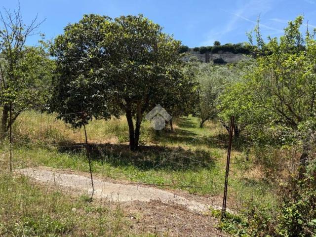Terreno in vendita a Ossi SS