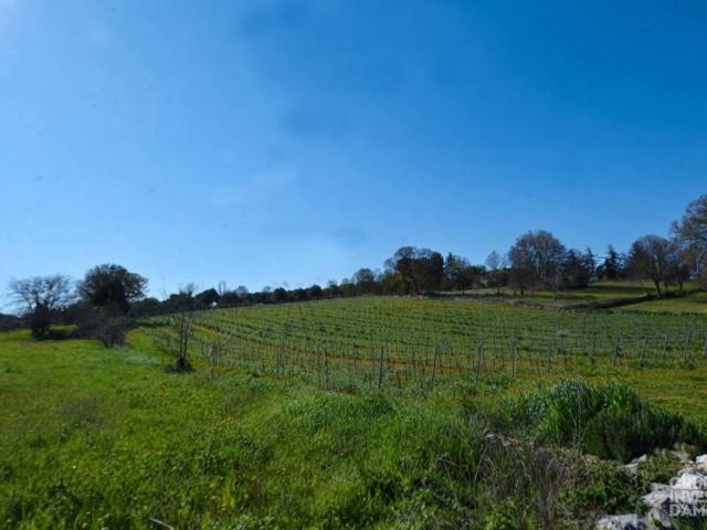 Terreno in vendita a Ostuni BR