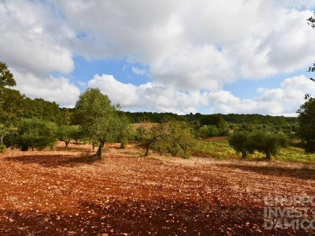 Terreno in vendita a Ostuni BR