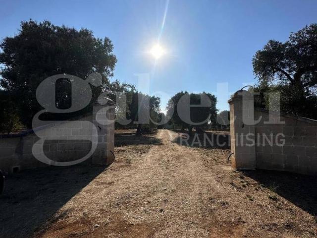 Terreno in vendita a Ostuni BR