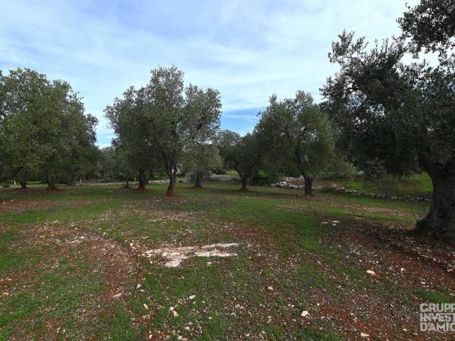 Terreno in vendita a Ostuni BR