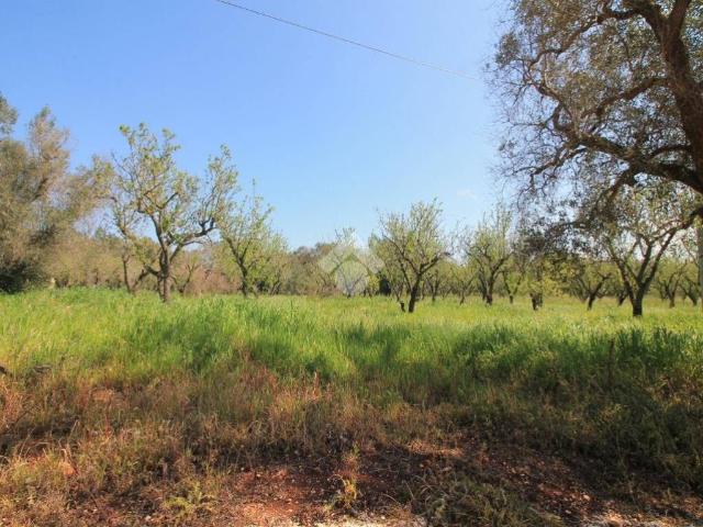 Terreno in vendita a Ostuni BR