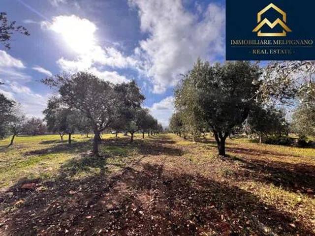 Terreno in vendita a Ostuni BR