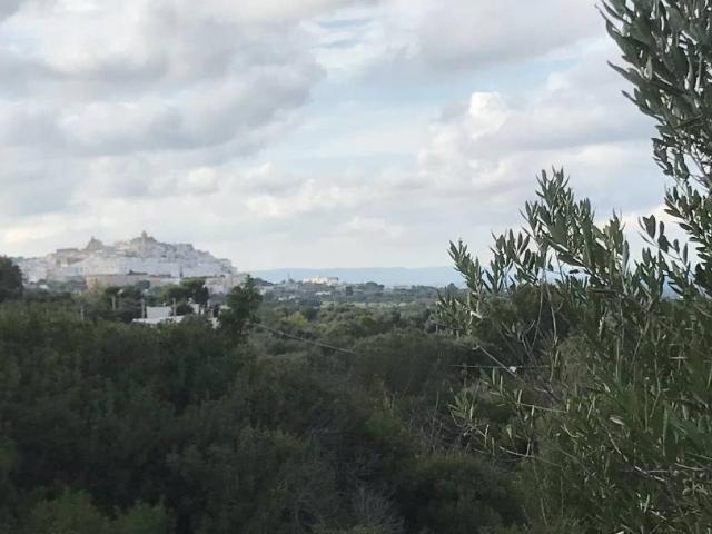 Terreno in vendita a Ostuni BR