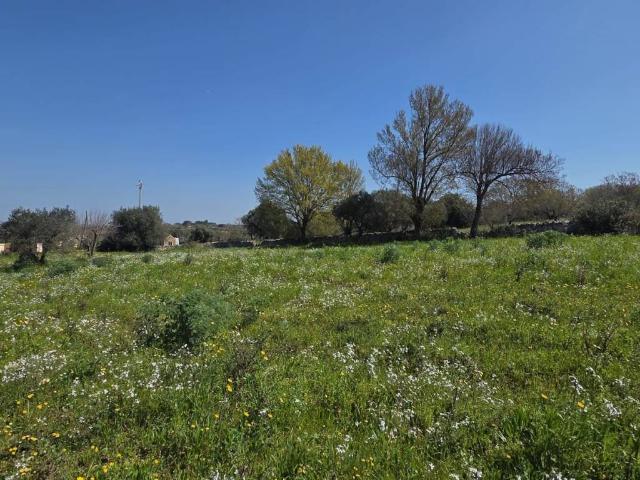 Terreno in vendita a Ostuni BR