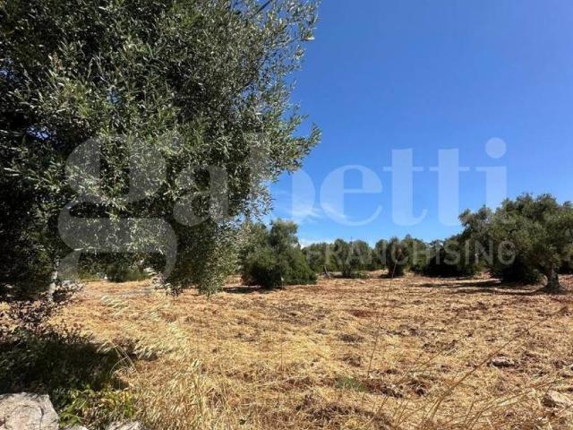 Terreno in vendita a Ostuni BR