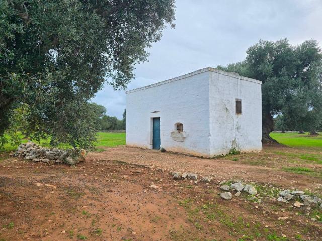 Terreno in vendita a Ostuni BR