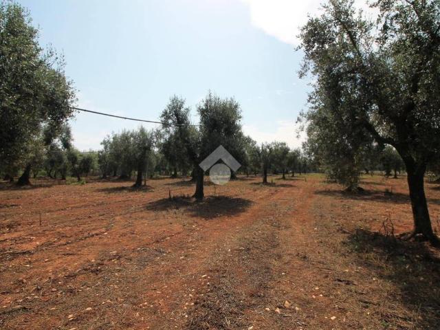 Terreno in vendita a Ostuni BR