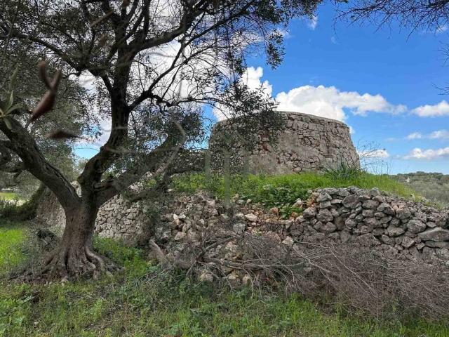 Terreno in vendita a Ostuni BR