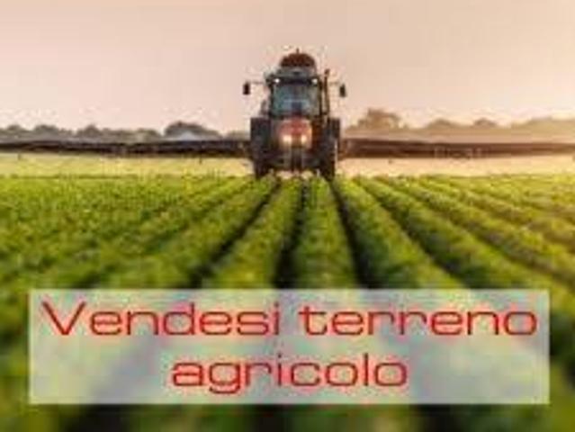 Terreno in vendita a Ostellato FE