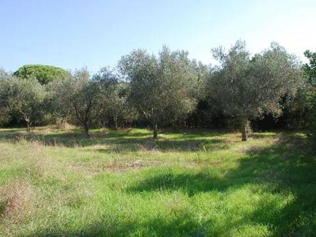 Terreno in vendita a Orbetello GR