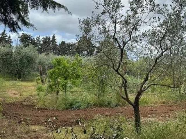 Terreno in vendita a Orbetello GR