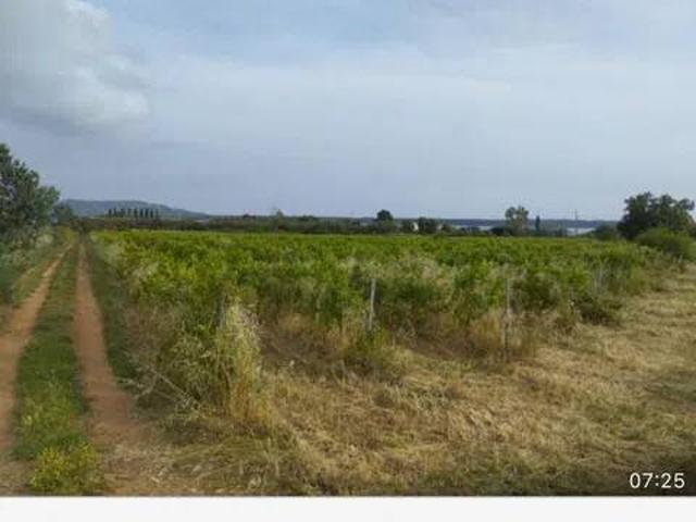 Terreno in vendita a Orbetello GR