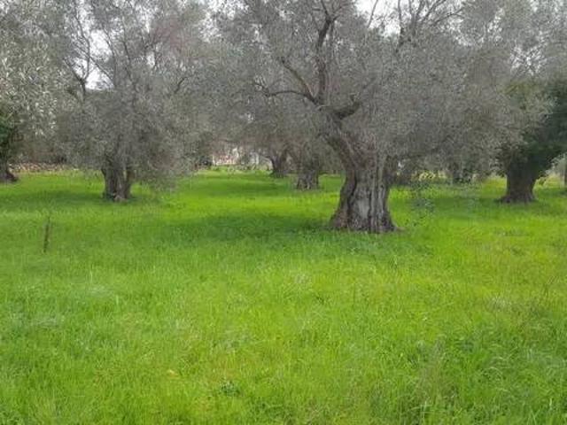 Terreno in vendita a Orbetello GR