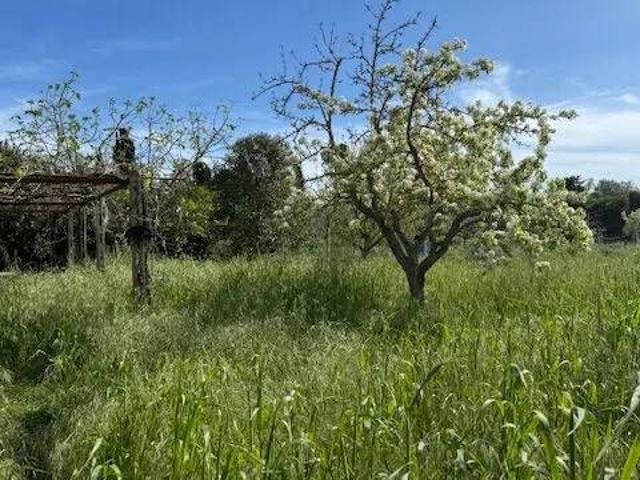 Terreno in vendita a Orbetello GR