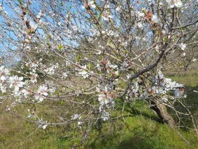 Terreno in vendita a Orbetello GR