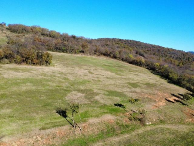 Terreno in vendita a Orgiano VI