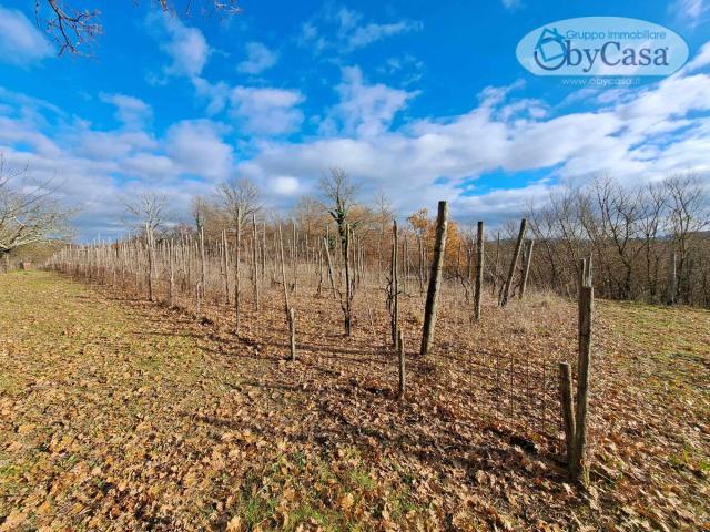 Terreno Agricolo in vendita a Oriolo Romano