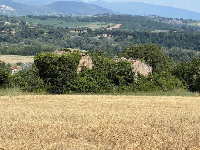 Terreno in vendita a Orte VT