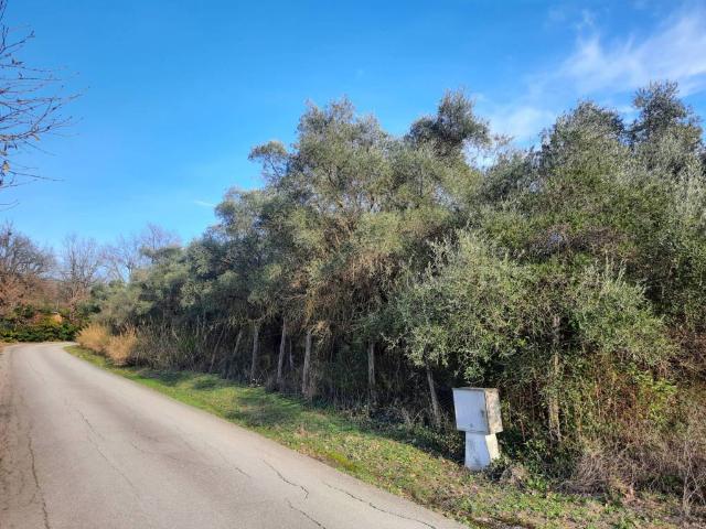 Terreno in vendita a Orte VT