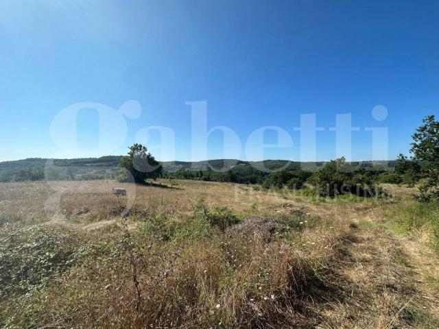 Terreno in vendita a Orte VT