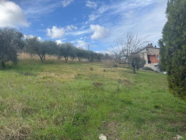 Terreno in vendita a Orte VT