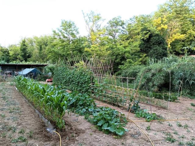 Terreno in vendita a Ortona CH
