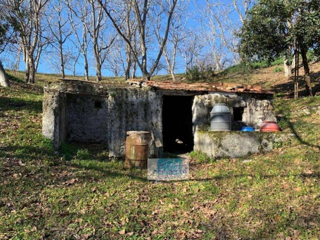 Terreno in vendita a Ottaviano NA