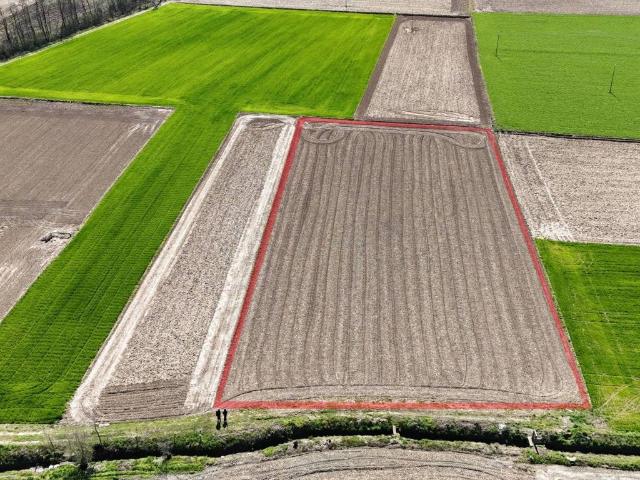 Terreno in vendita a Pancalieri TO